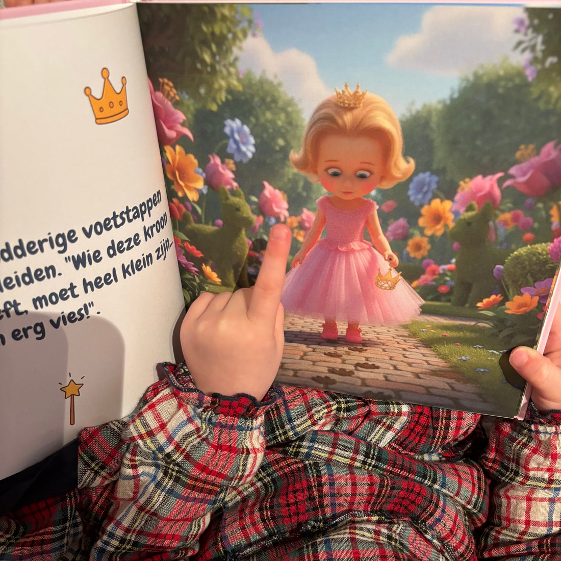 The Curious Princess